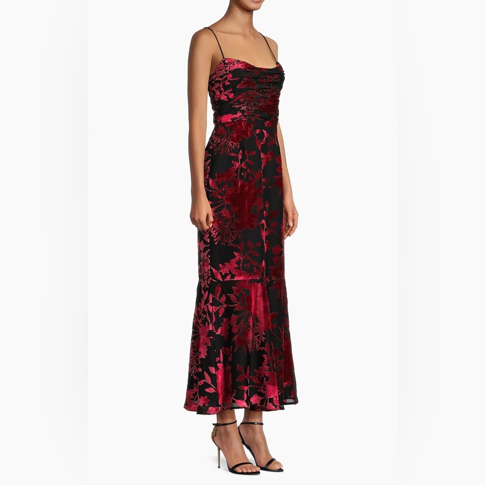 Hutch Floral Velvet Ruched Midi Dress - Picture 3 of 5